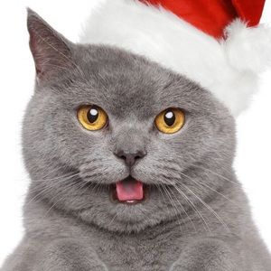 Meet your Posher, Janet